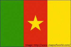 Cameroon National Flag